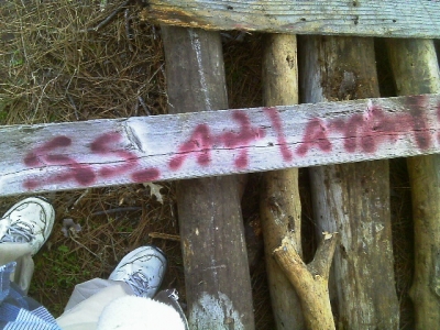 IMAG0315.JPG