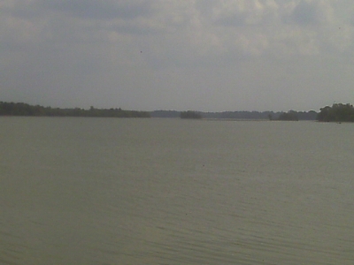 IMAG0321.JPG