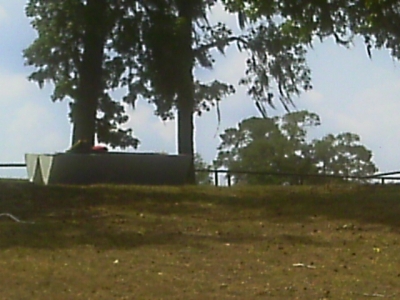 IMAG0323.JPG