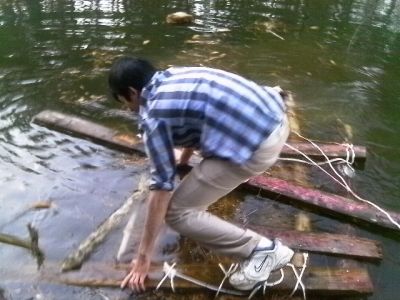 IMAG0341.JPG