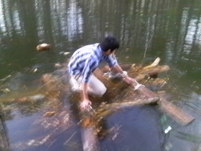 IMAG0344.JPG
