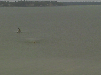 IMAG0347.JPG