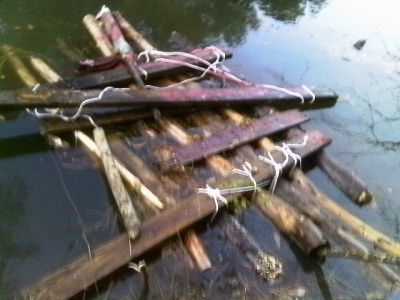 IMAG0347.JPG