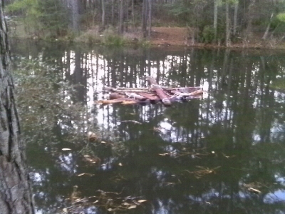IMAG0351.JPG