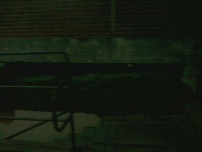 SprintPhoto_bgscmx.jpg