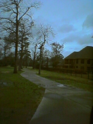 The forest of terror.jpg