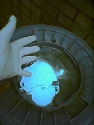 The mistro at work.jpg