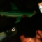 IMAG0112.JPG