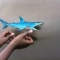 IMAG0122.JPG