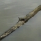 IMAG0157.JPG