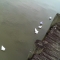 IMAG0158.JPG