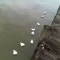 IMAG0159.JPG