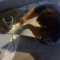 IMAG0255.JPG