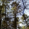 IMAG0259.JPG