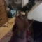 IMAG0260.JPG