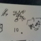 IMAG0273.JPG