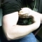 IMAG0278.JPG