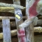 IMAG0320.JPG
