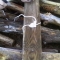 IMAG0323.JPG