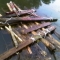 IMAG0347.JPG