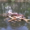 IMAG0348.JPG
