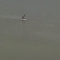 IMAG0349.JPG