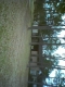 The Tennis Club
