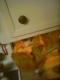 Hovering Ramekin