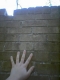 The tall wall