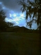 leaving