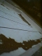 Lap pool