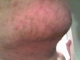 IMAG0112.JPG