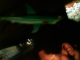 IMAG0112.JPG