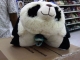 IMAG0121.JPG