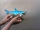 IMAG0122.JPG