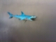 IMAG0123.JPG
