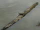 IMAG0157.JPG