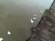 IMAG0158.JPG