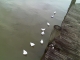 IMAG0159.JPG