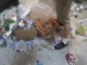 IMAG0195.JPG