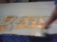 IMAG0243.JPG