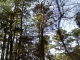 IMAG0259.JPG