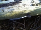 IMAG0294.JPG