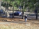 IMAG0303.JPG