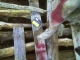IMAG0320.JPG