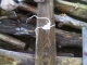 IMAG0323.JPG