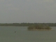 IMAG0335.JPG