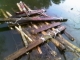 IMAG0347.JPG