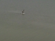 IMAG0349.JPG