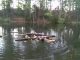 IMAG0349.JPG